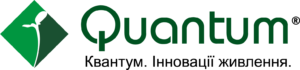 квантум